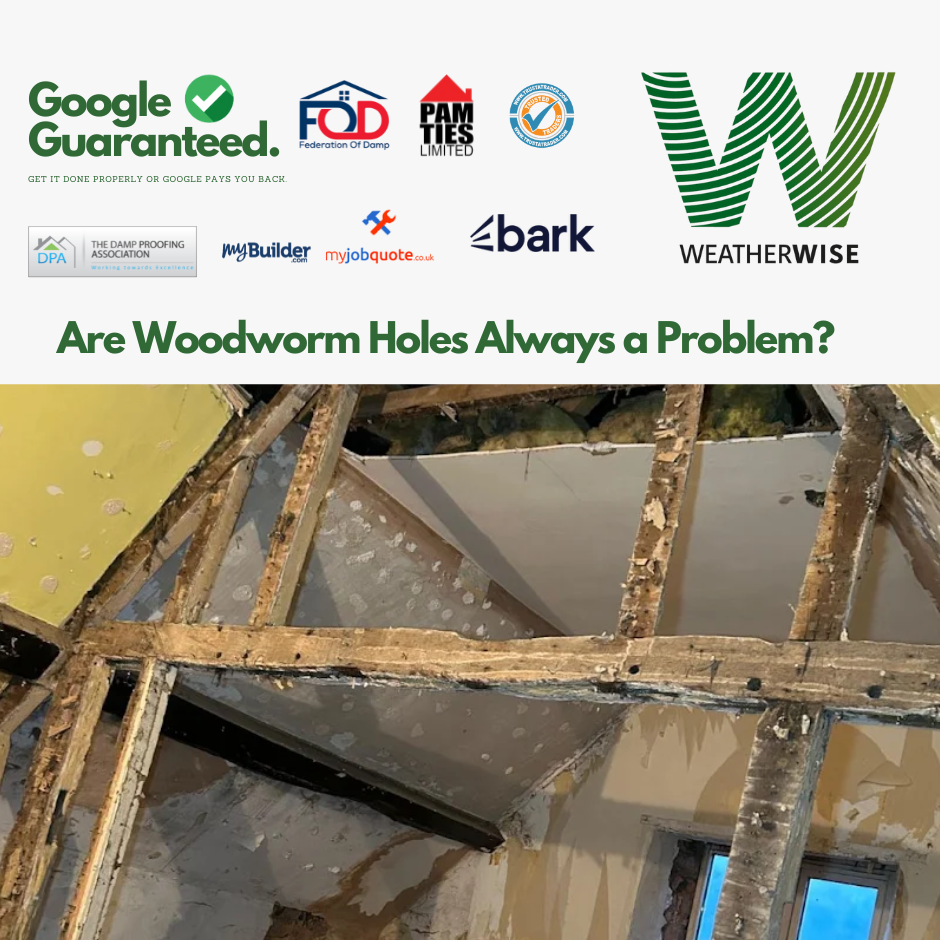 Are_Woodworm_Holes_Always_a_Problem_Runcorn_Properties