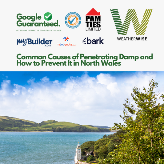 Common Causes of Penetrating Damp and How to Prevent It in North Wales