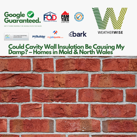 Could Cavity Wall Insulation Be Causing My Damp? – Homes in Mold & North Wales