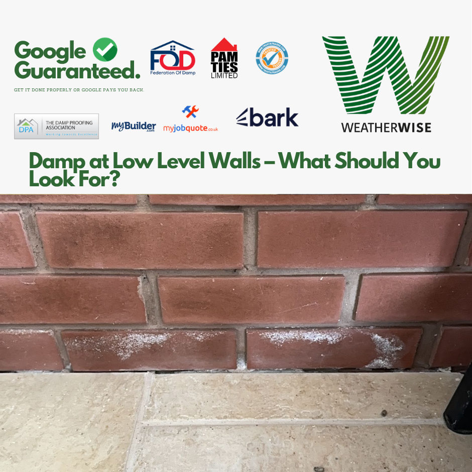 Damp_at_Low_Level_Walls_Stoke_on_Trent_Guide