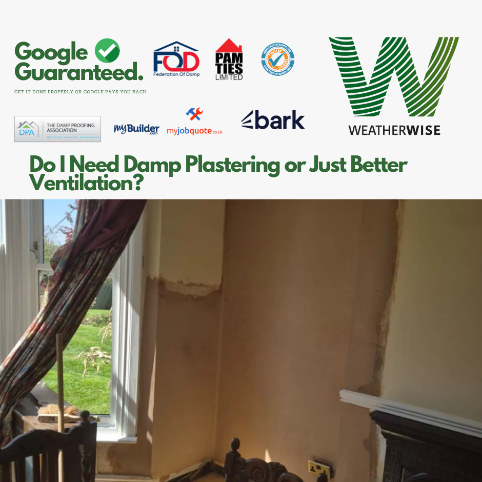 Do_I_Need_Damp_Plastering_or_Just_Better_Ventilation_Leigh_Guide