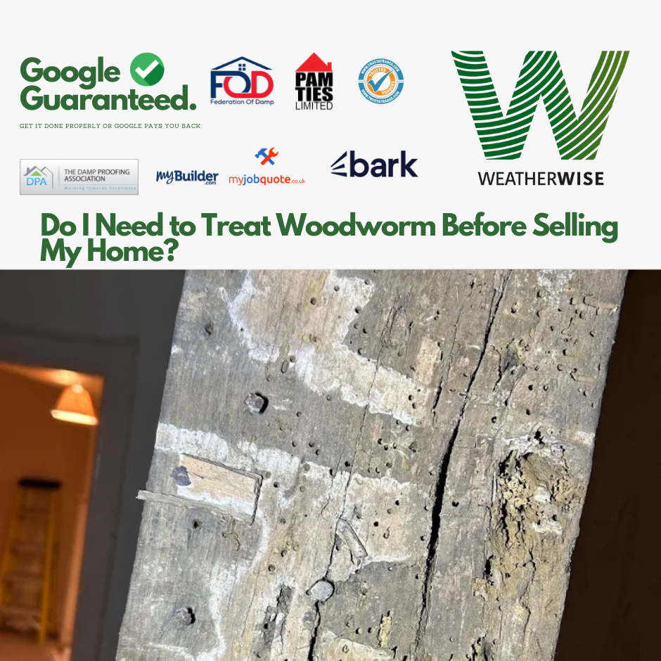 Do_I_Need_to_Treat_Woodworm_Before_Selling_My_Home_Congleton_Sellers