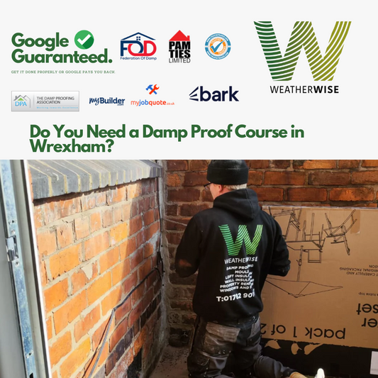 Do_You_Need_a_Damp_Proof_Course_in_Wrexham