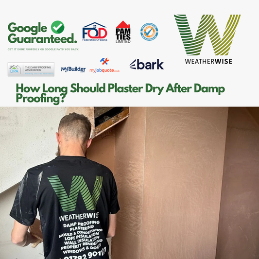 How_Long_Should_Plaster_Dry_After_Damp_Proofing_Macclesfield_Weather_Wise_Solutions_Limited