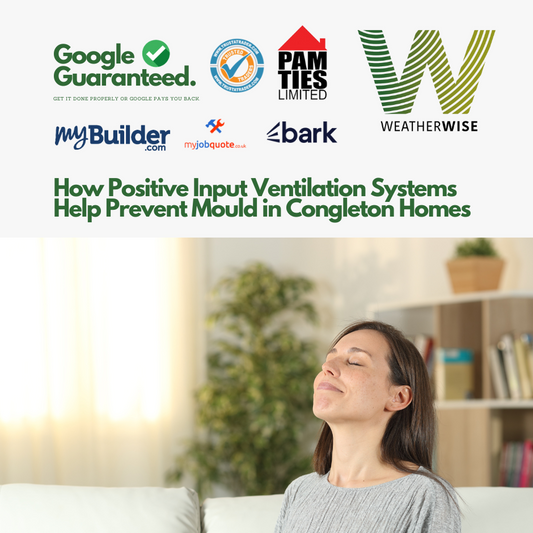 Mould_Prevention_Near_Me_Weather_Wise_Solutions_Limited