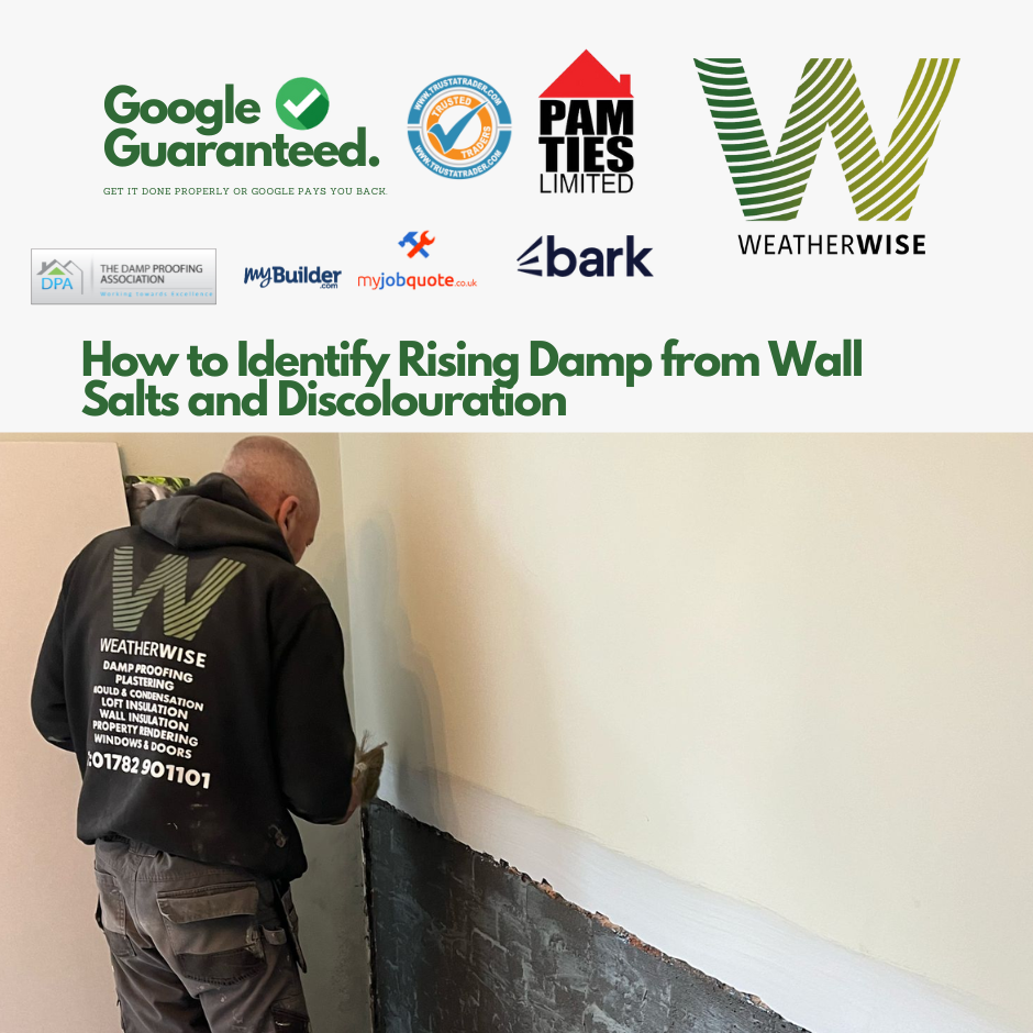 How to Identify Rising Damp from Wall Salts and Discolouration