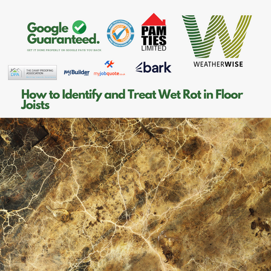 How_to_Identify_and_Treat_Wet_Rot_in_Floor_Joists