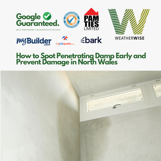 How to Spot Penetrating Damp Early and Prevent Damage in North Wales