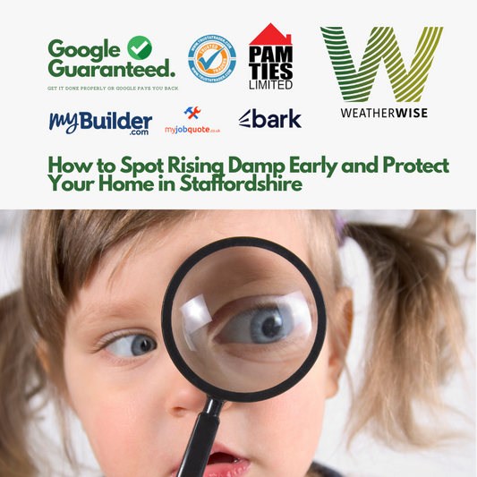 How to Spot Rising Damp Early and Protect Your Home in Staffordshire