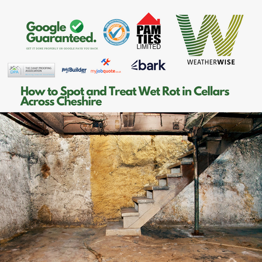 How_to_Spot_and_Treat_Wet_Rot_in_Cellars_Across_Cheshire
