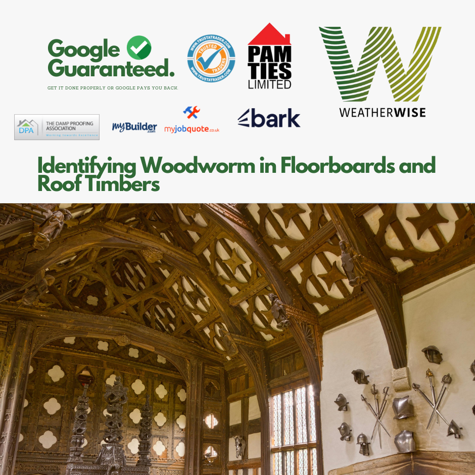 Identifying_Woodworm_in_Floorboards_and_Roof_Timbers