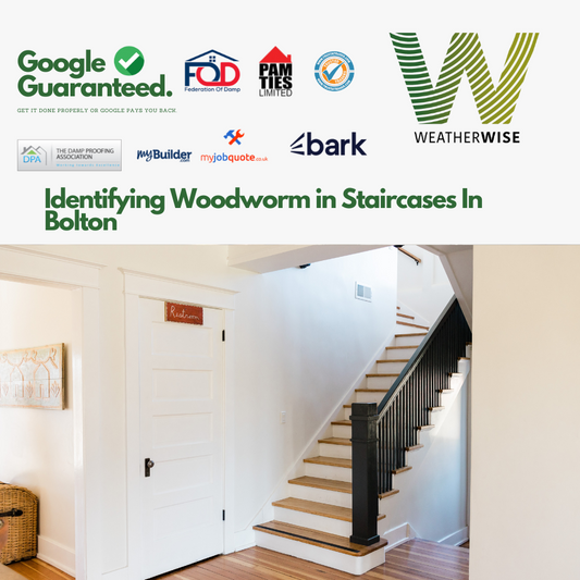 identifying-woodworm-staircases-bolton-weather-wise-solutions-limited