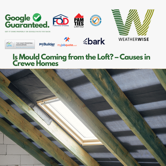loft-mould-causes-crewe-homes-dmev-ventilation-weather-wise-solutions-limited