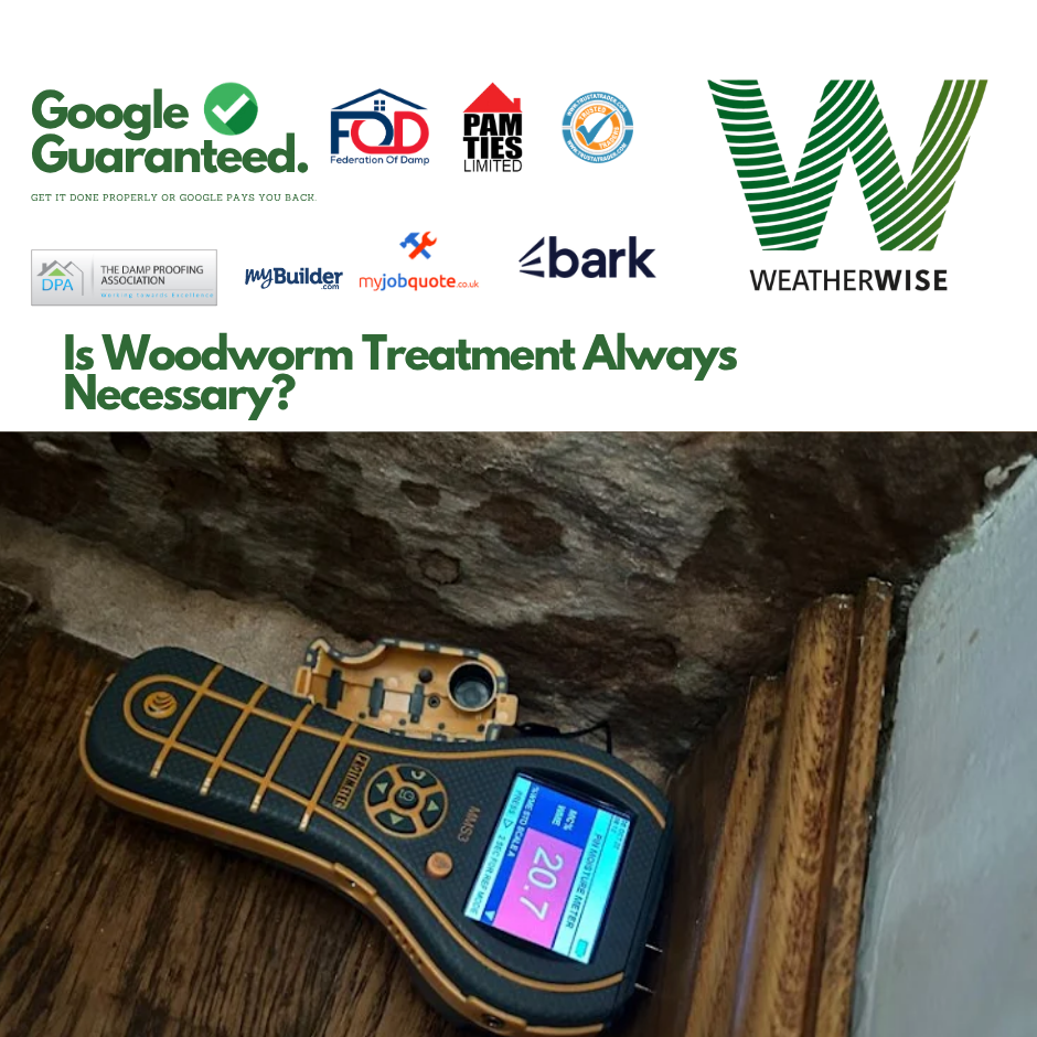 Woodworm_Treatment_Needed_Leek