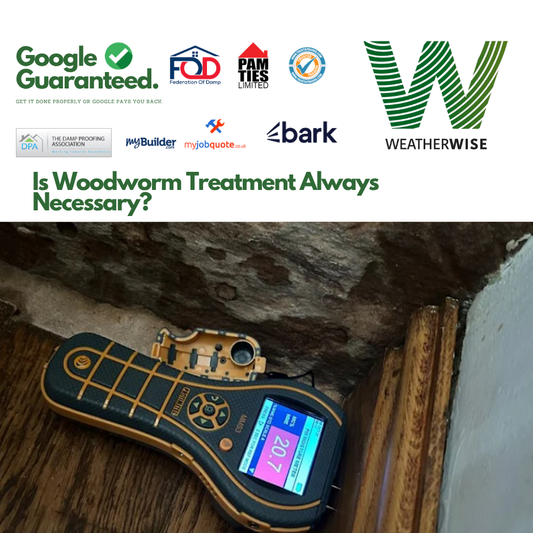 Woodworm_Treatment_Needed_Leek