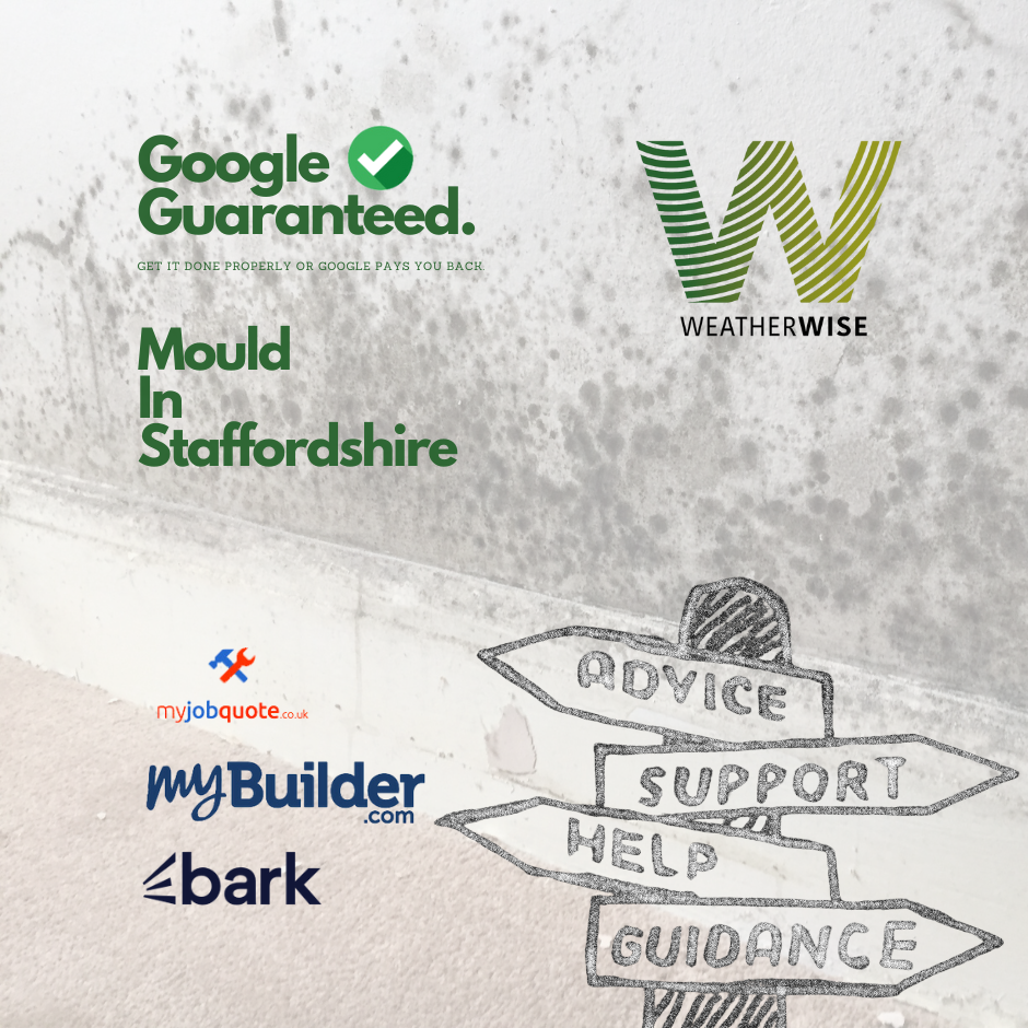 The Growing Concern of Mould in Staffordshire Homes