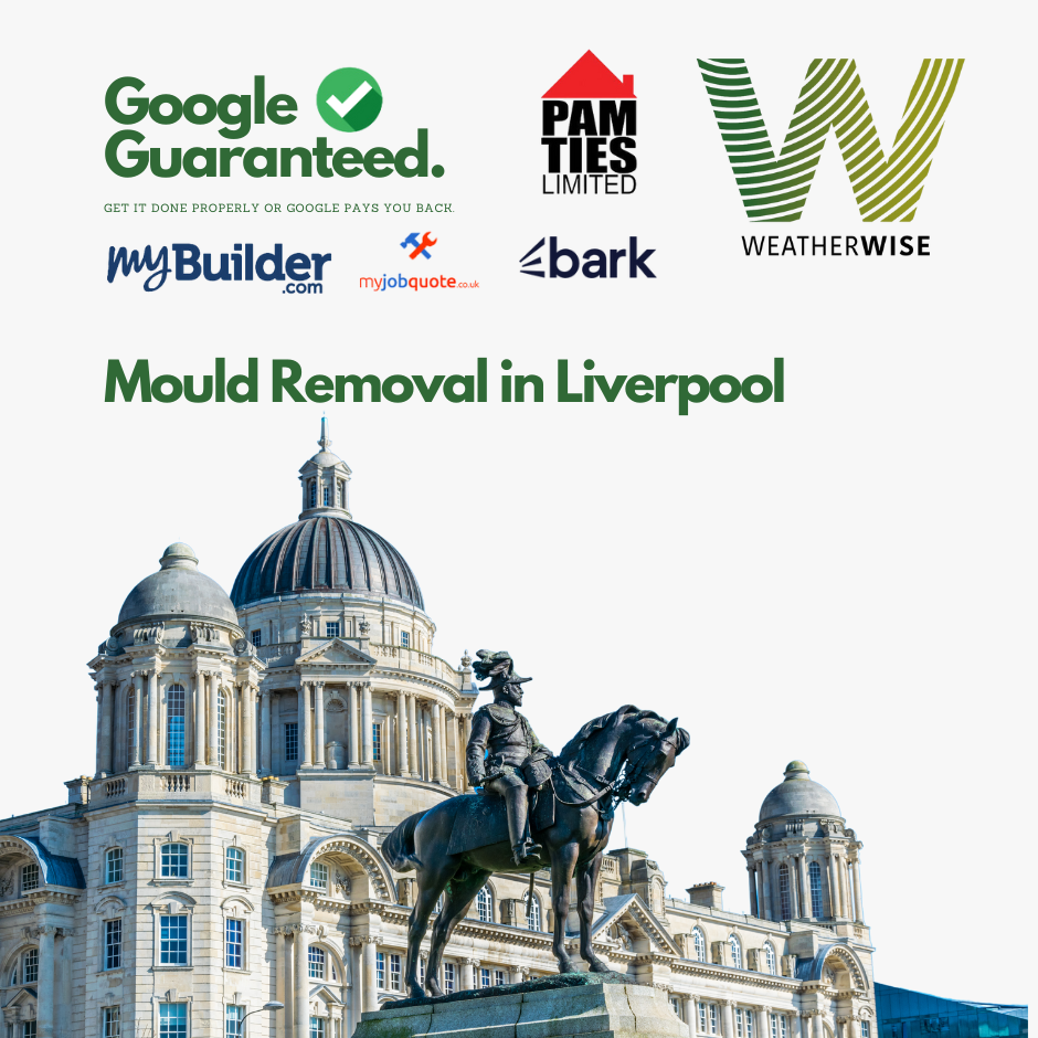 Mould Removal in Liverpool: Protect Your Health and Home with Weather Wise Solutions