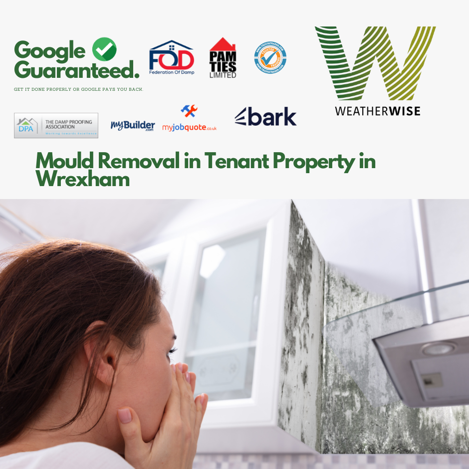 mould-removal-tenant-property-wrexham-weather-wise-solutions-limited