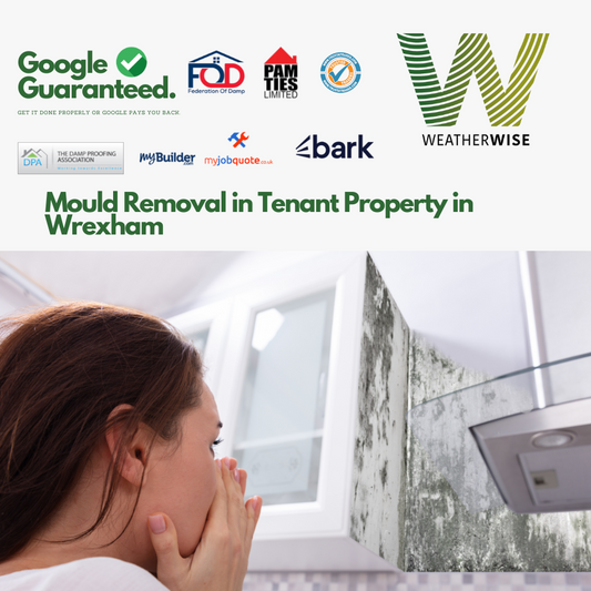 mould-removal-tenant-property-wrexham-weather-wise-solutions-limited