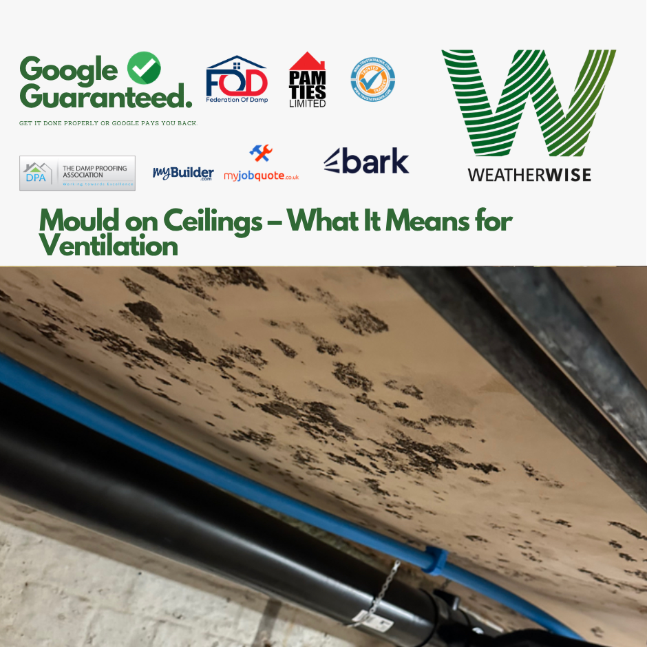Mould_on_Ceilings_Liverpool_Homes