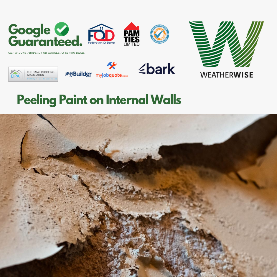 Peeling_Paint_on_Internal_Walls_Preston_Homes