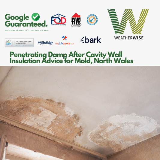 penetrating-damp-cavity-wall-mold-north-wales-weather-wise-solutions-limited