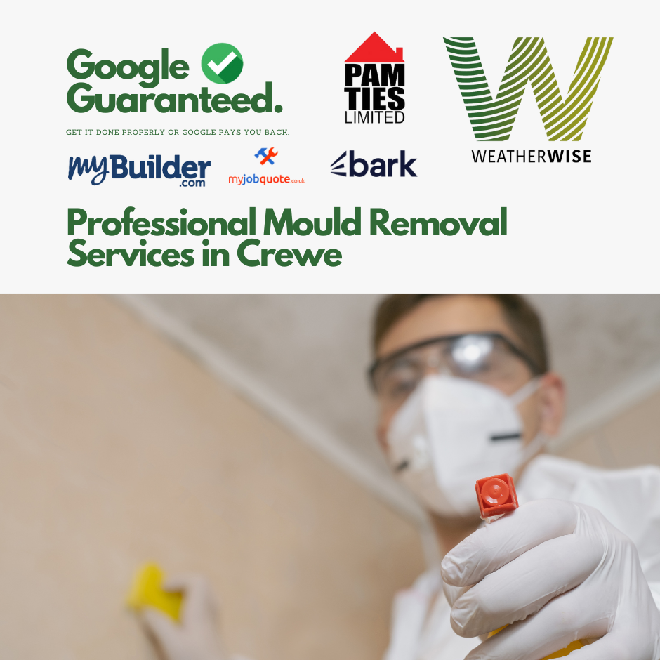 Professional Mould Removal and Prevention Services in Crewe: Protect Your Home and Health with Weather Wise Solutions