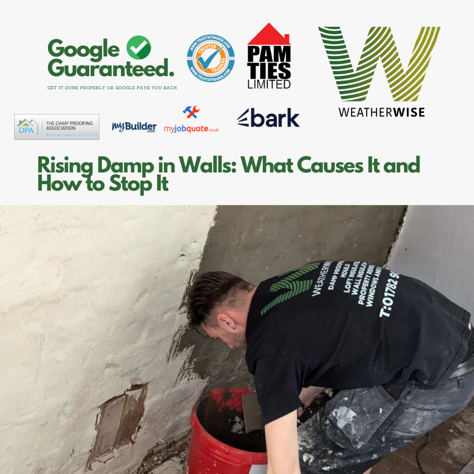 Rising Damp in Walls: What Causes It and How to Stop It