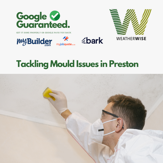 Tackling Mould Issues in Preston: Causes, Health Impacts, and Professional Solutions