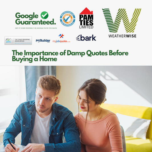 The_Importance_of_Damp_Quotes_Before_Buying_a_Home