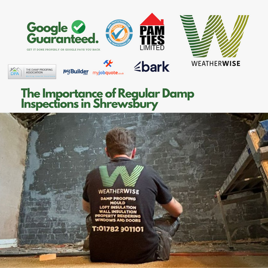 The_Importance_of_Regular_Damp_Inspections_in_Shrewsbury