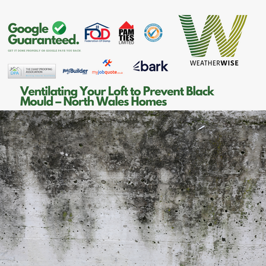 loft-ventilation-north-wales-mould-prevention-weather-wise-solutions-limited