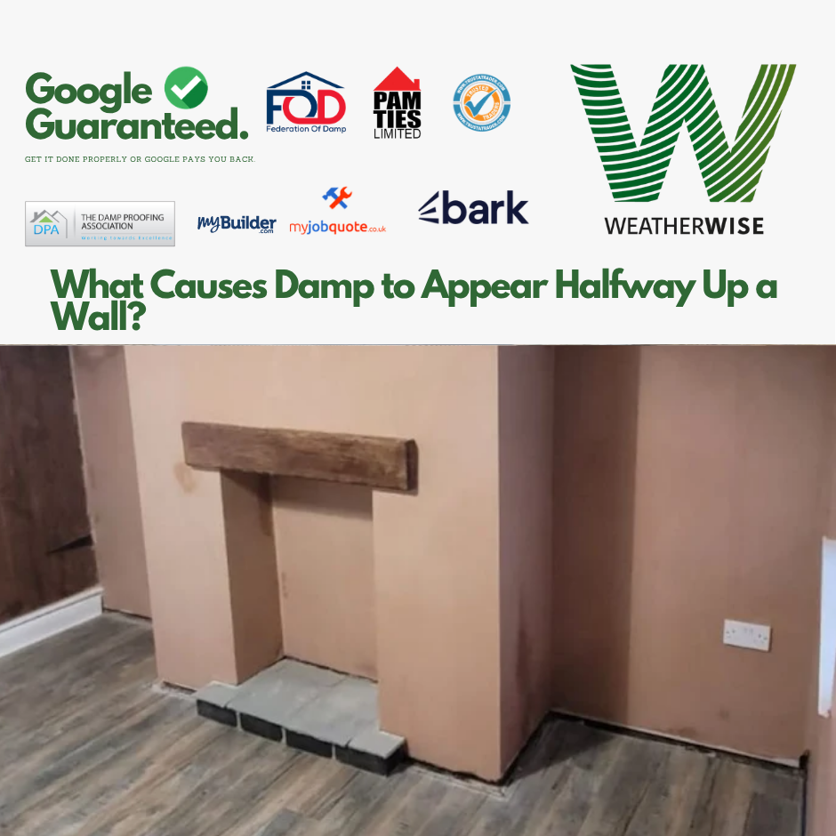 Damp_Halfway_Up_Wall_Chesterfield_Guide