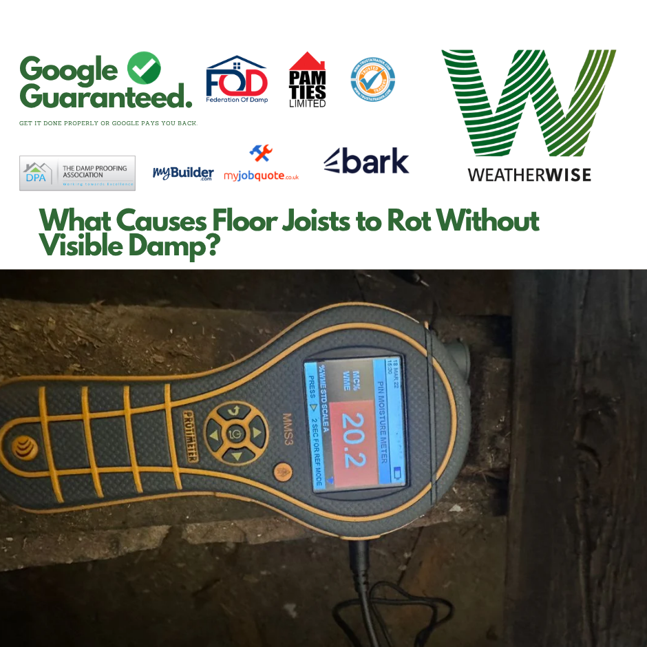 Rotten_Floor_Joists_Without_Visible_Damp_Stoke