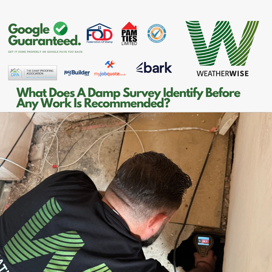 What_Does_a_Damp_Survey_Identify_Before_Any_Work_Is_Recommended_Stockport_Guide