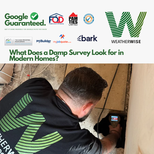 What_Does_a_Damp_Survey_Look_for_in_Modern_Homes_Warrington_Guide