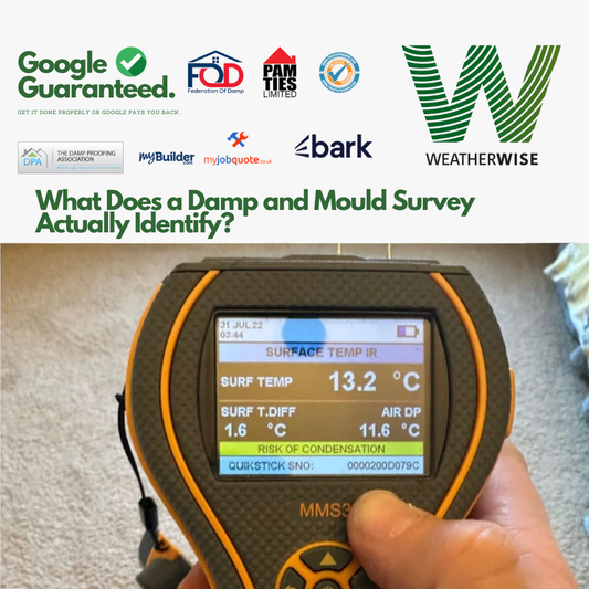 What_Does_a_Damp_and_Mould_Survey_Actually_Identify_Liverpool_Guide