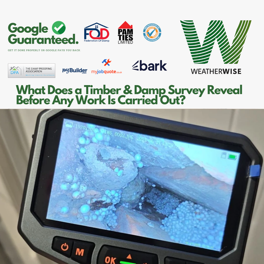 What_Does_a_Timber_and_Damp_Survey_Reveal_Before_Work_Preston_Guide
