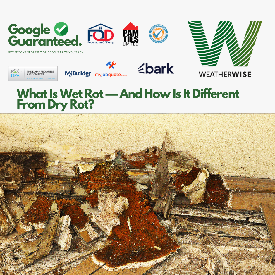 Wet_Rot_vs_Dry_Rot_Warrington_Timber_Decay_Guide