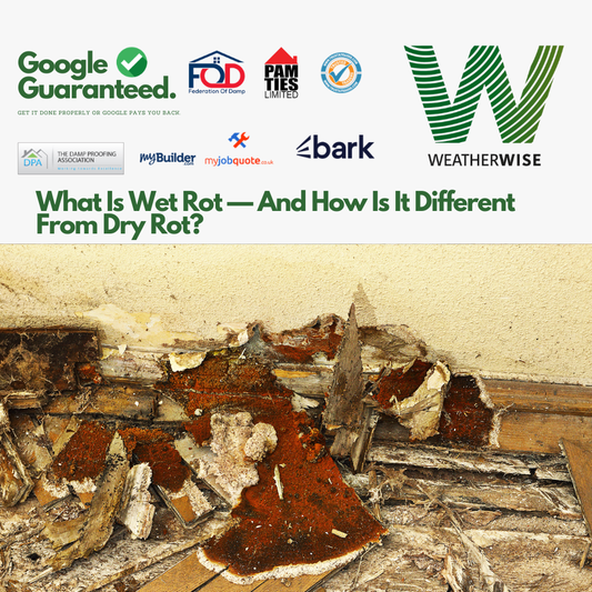 Wet_Rot_vs_Dry_Rot_Warrington_Timber_Decay_Guide