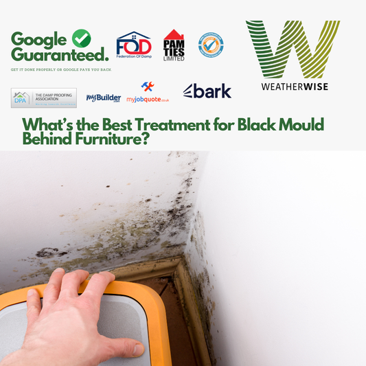 Whats_the_Best_Treatment_for_Black_Mould_Behind_Furniture_Widnes_Weather_Wise_Solutions_Limited