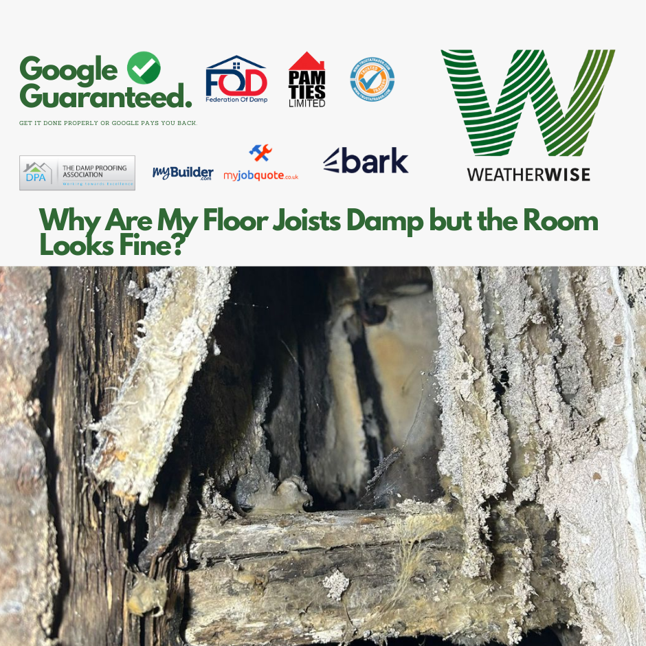 Why_Are_My_Floor_Joists_Damp_but_the_Room_Looks_Fine_Leek_Homes