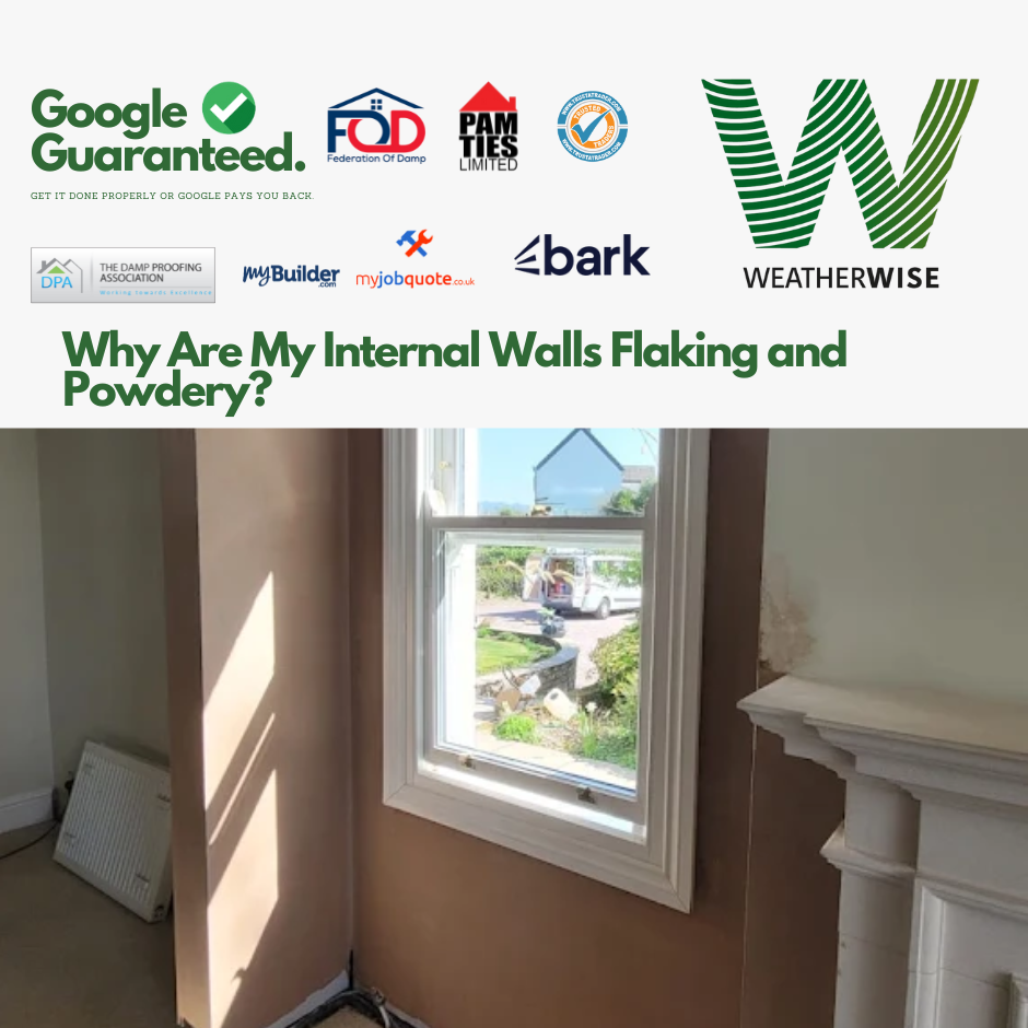 Why_Are_My_Internal_Walls_Flaking_and_Powdery_Stone_Weather_Wise_Solutions_Limited