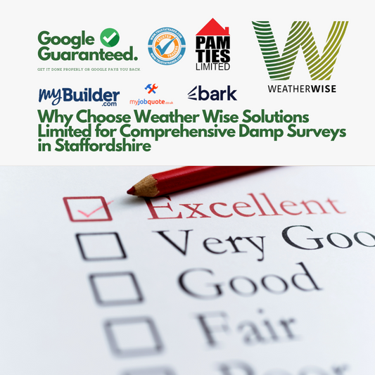 Why Choose Weather Wise Solutions Limited for Comprehensive Damp Surveys in Staffordshire