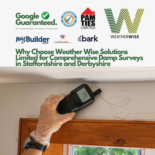 professional_damp_survey_staffordshire_derbyshire_Weather_Wise_Solutions_Limited