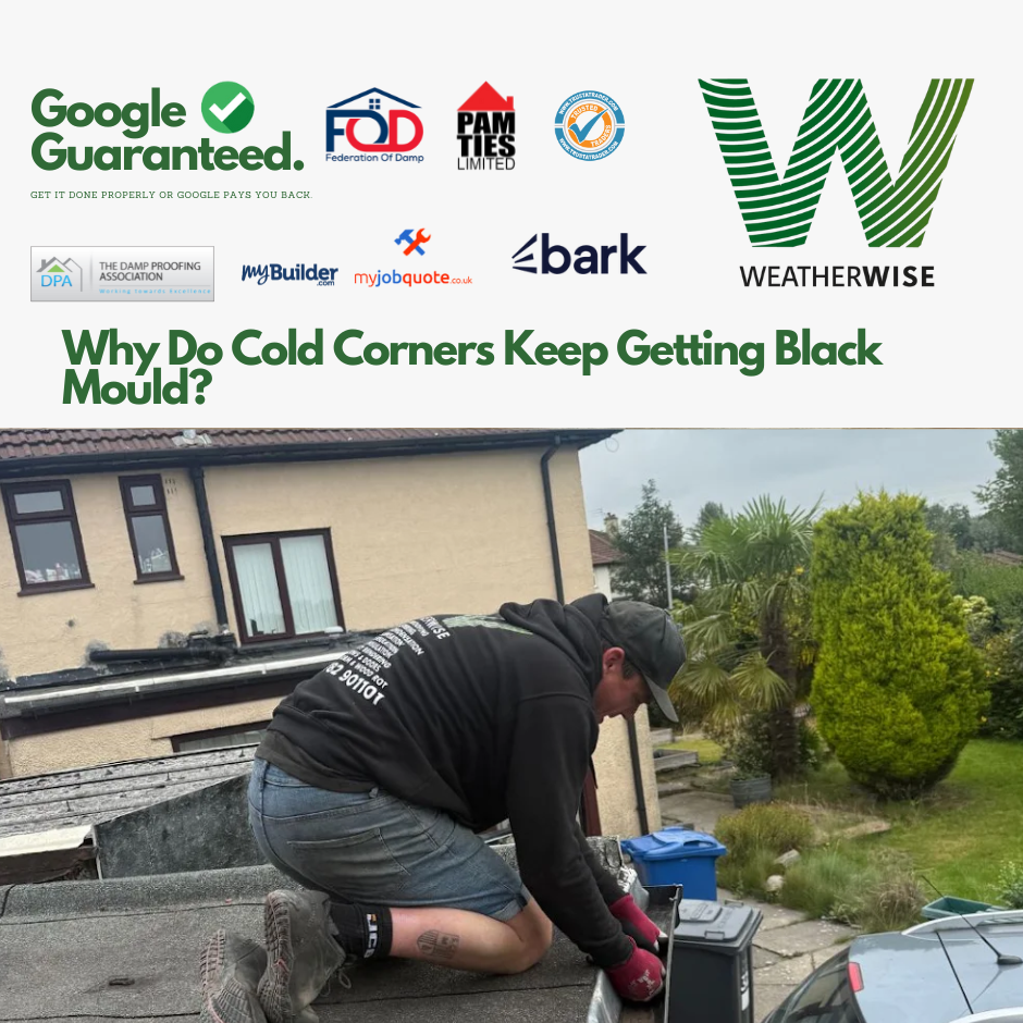 Why_Do_Cold_Corners_Keep_Getting_Black_Mould_Holywell_Properties