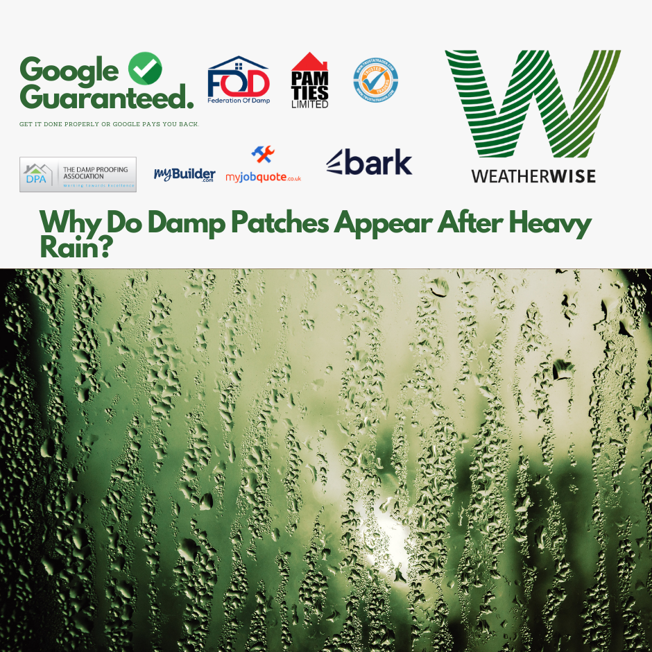 Why Do Damp Patches Appear After Heavy Rain?