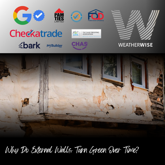 why-do-external-walls-turn-green-bolton-weather-wise-solutions-limited