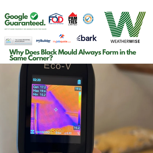 Black_Mould_In_Corner_Warrington