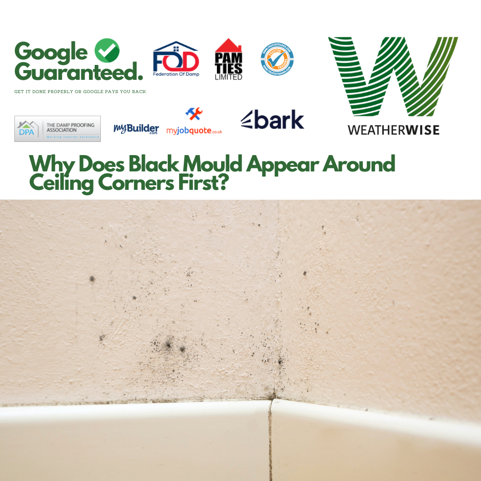 black-mould-in-ceiling-corners-manchester-weather-wise-solutions-limited